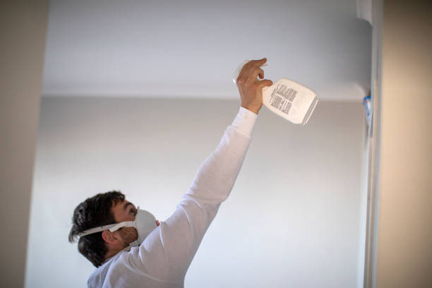 Best Office Mold Removal Services  in Folcroft, PA
