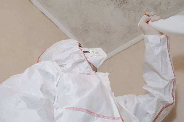 Best Mold Removal Specialists  in Folcroft, PA