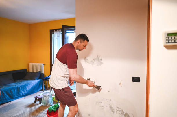 Best Best Mold Removal Companies  in Folcroft, PA